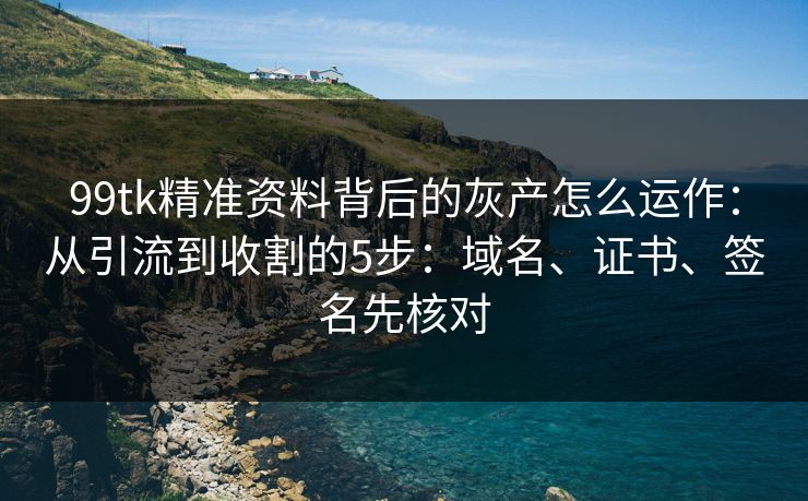 99tk精准资料背后的灰产怎么运作:从引流到收割的5步:域名、证书、签名先核对 99tk精准资料背后的灰产怎么运作:从引流到收割的5步:域名、证书、签名先核对